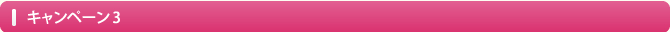 キャンペーン3
