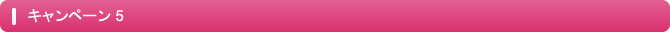 キャンペーン5