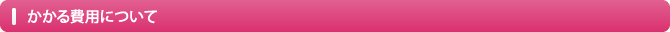 かかる費用について